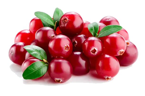 Mirtillo Rosso per cistite